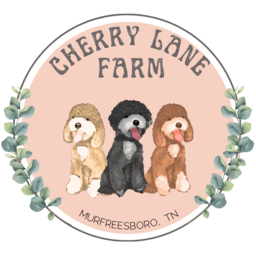 Cherry Lane Farm Doodles logo